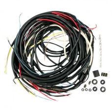 Wiązka elektryczna T181