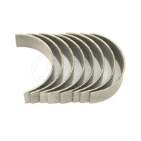 Panewki korbowodu 1.00