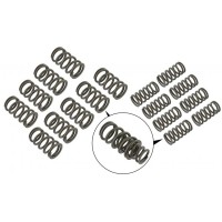 Sprężyny do zaworów Garbus podwójne wzmocnione