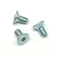 Śruba do zawiasu drzwi (1szt)