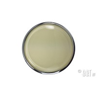 F4 Przycisk klaksonu do kierownicy Banjo - ivory