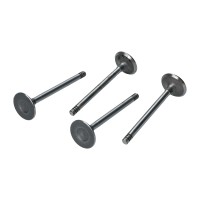 Zawory dolot.  13/1600 35,5mm / 8mm TRW