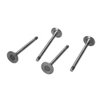 Standardowe zawory wydechowe 13/1600 32mm / 8 mm TRW