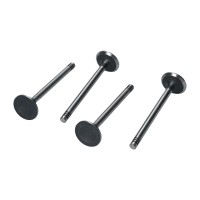 Standardowe zawory dolotowe 1200 31,5mm TRW