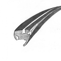 Uszczelka przedniej szyby do cabrio 73-79 pod klin plastik Cabrio